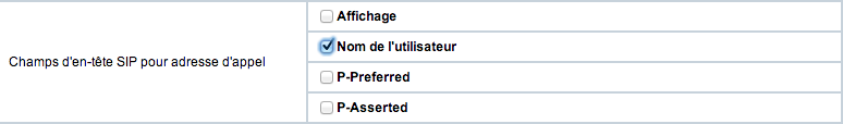 Gigaset PRO - Public Wiki > FAQ Hybird 120 - Création ligne Trunk OpenIP > image2014-1-10 18:34:58.png